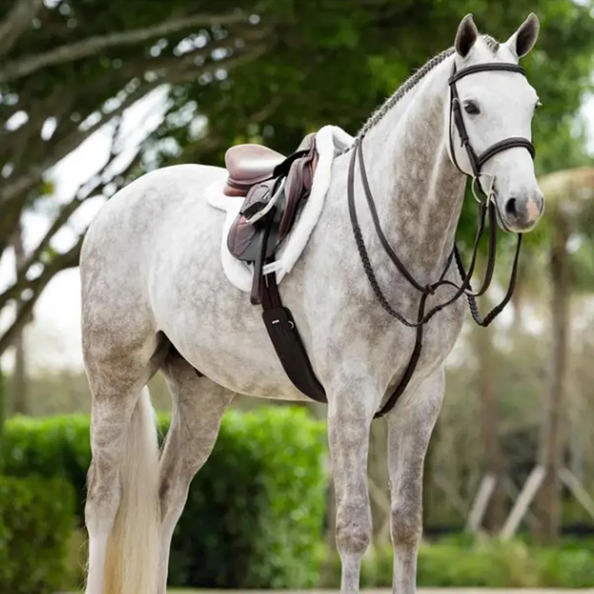 LeMieux Merino  ProSorb Hunter Pro Saddle Pad